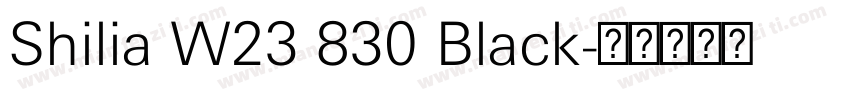 Shilia W23 830 Black字体转换